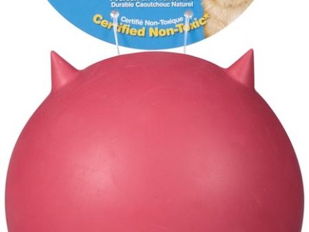 JW Pet Bad Cuz Dog Toy Assorted 1ea LG Supply