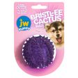 JW Pet Bristl-ee Cactus Ball Puppy Toy 1ea Puppy Cheap