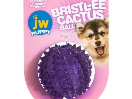 JW Pet Bristl-ee Cactus Ball Puppy Toy 1ea Puppy Cheap