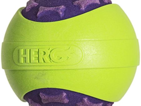 Hero Dog Outer Armor Ball Purple Small Fashion