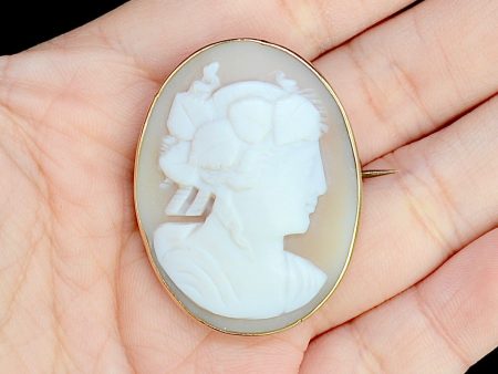 Antique Cameo Brooch Discount