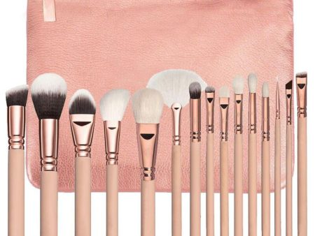 15 PCS Pro Makeup Brushes Set Fashion