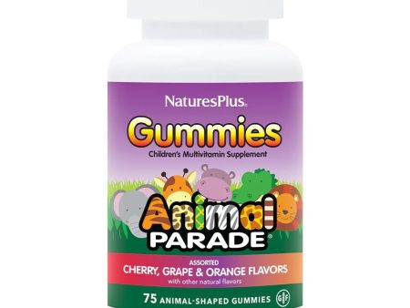 Animal Parade® Gummies - Assorted Fruit Flavors Supply