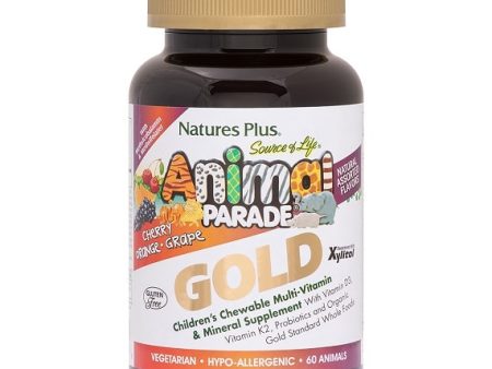 Animal Parade® GOLD Childrens Chewable Multi - Assorted Flavors Online Hot Sale